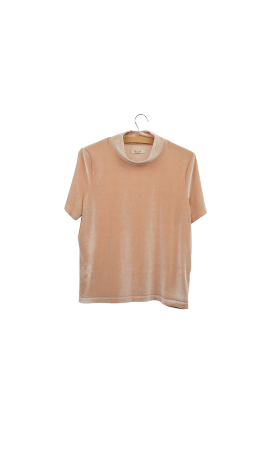 Pink Madewell Velvet Top